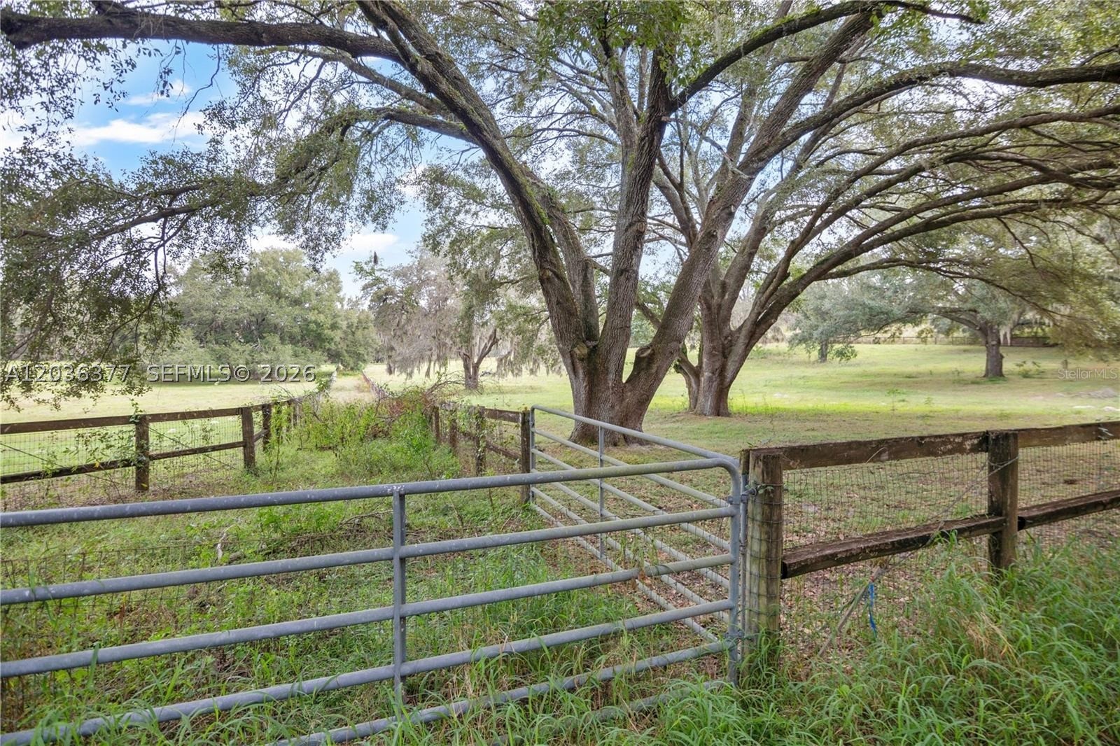FRUITLAND PARK - Land