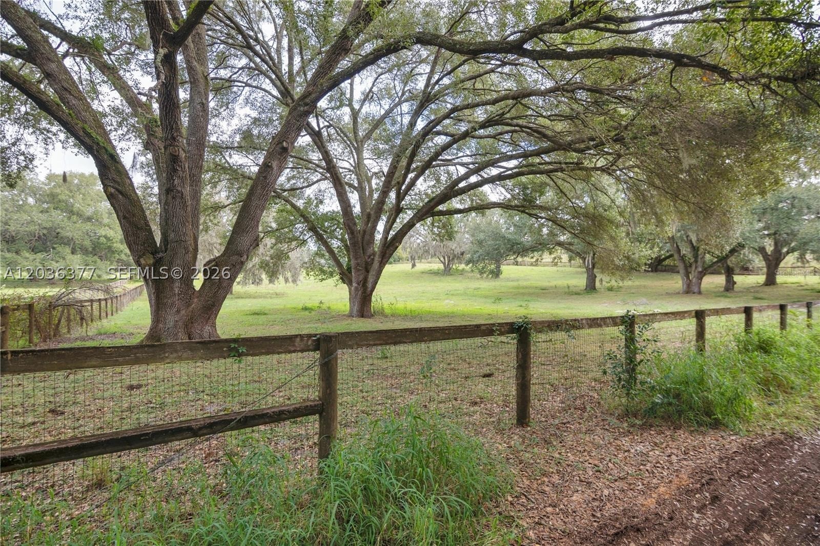 FRUITLAND PARK - Land