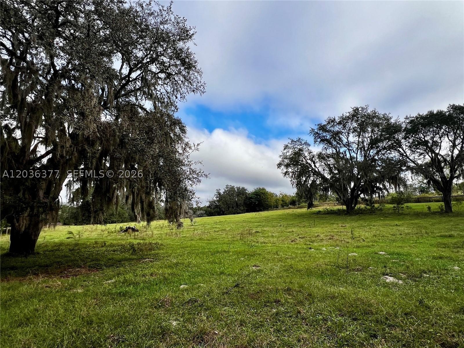 FRUITLAND PARK - Land
