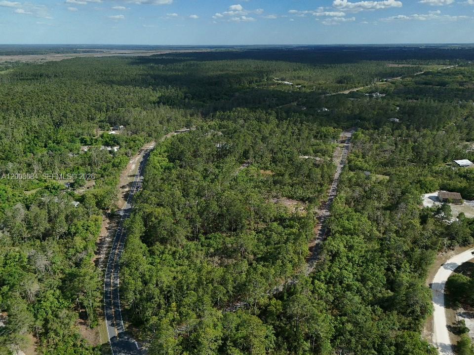 SILVER SPRINGS SHORES - Land