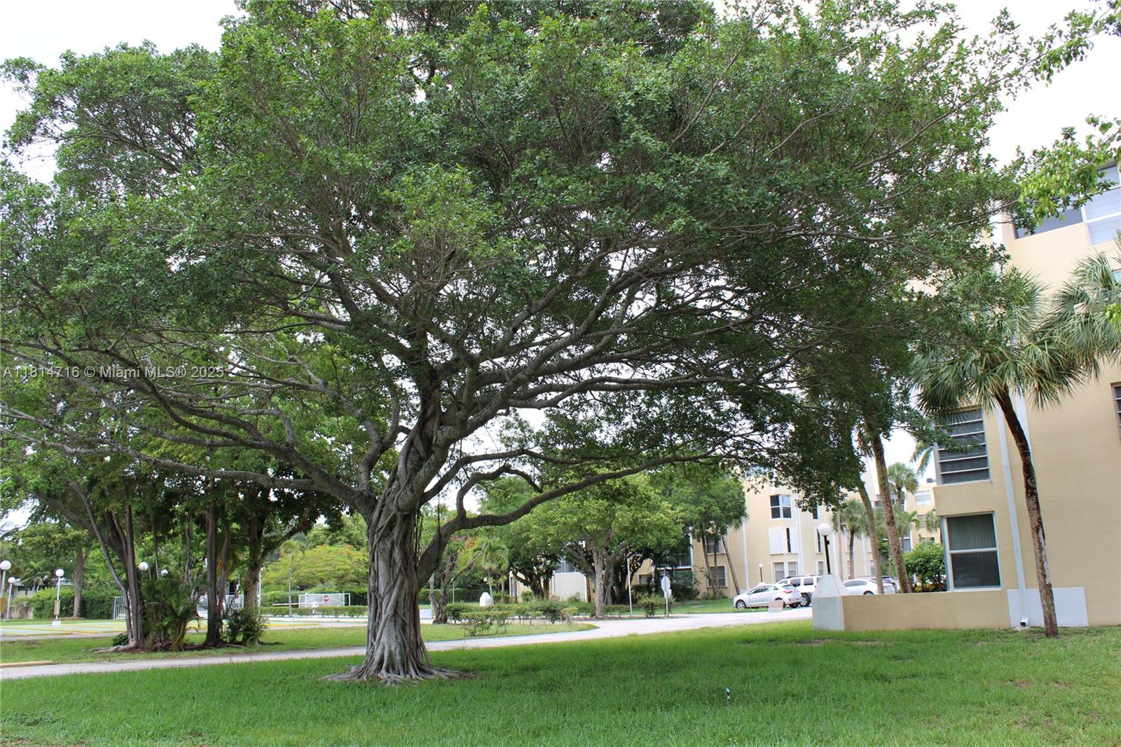 LAKE PARK CONDO NO 1 - BL - Residential