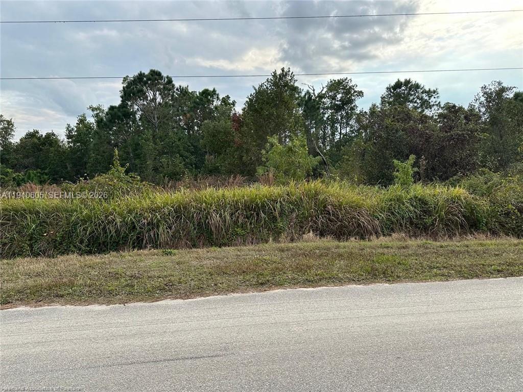 Avon Estates Blvd - Land