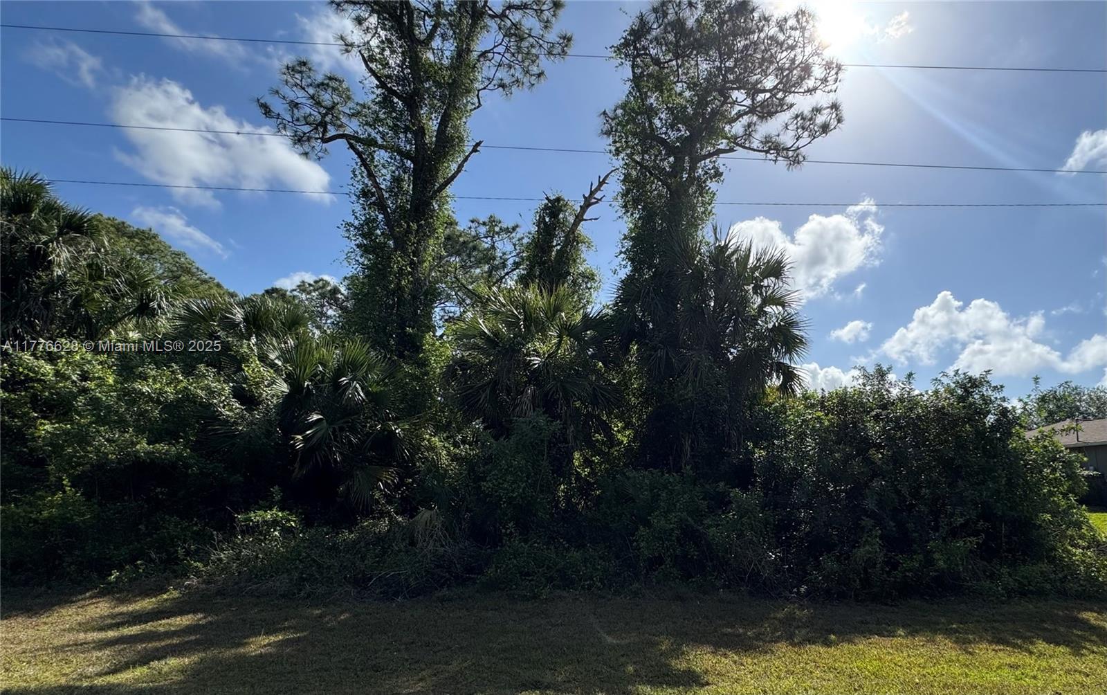 LEHIGH ACRES - Land