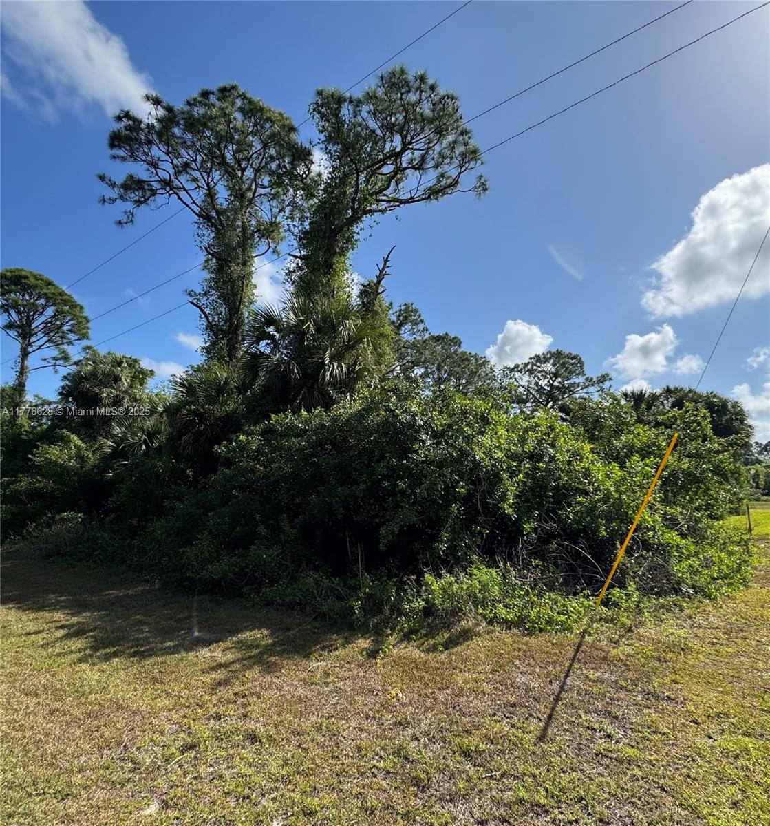 LEHIGH ACRES - Land