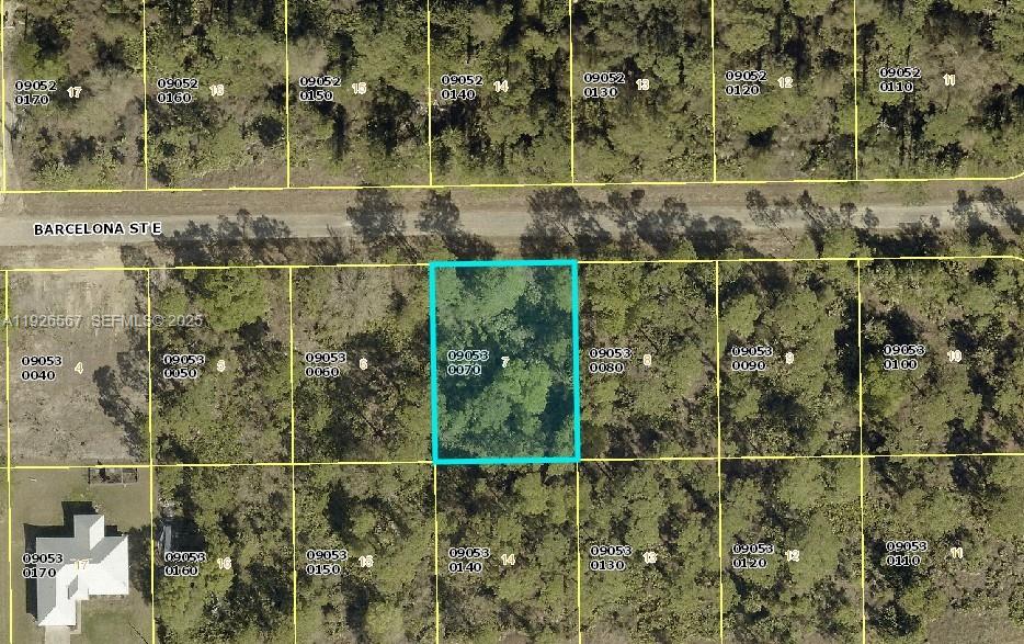 LEHIGH ACRES - Land