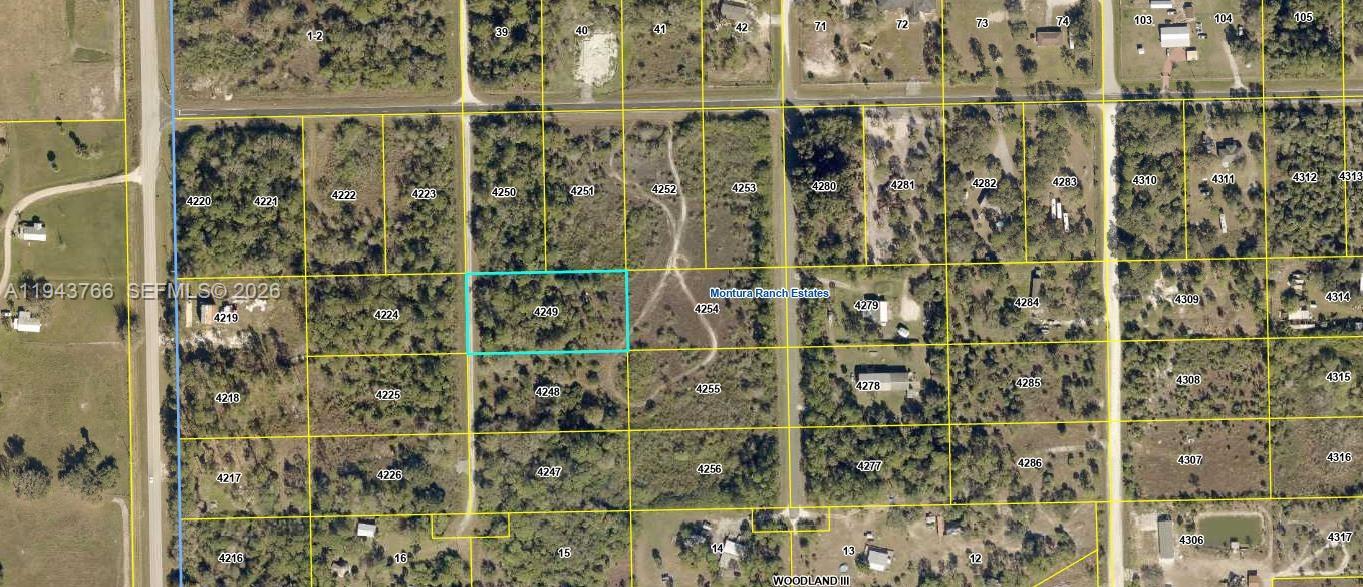 Build your dream home on this 1.25-acre residential lot in Montura Ranch Estates. This high and dry property offers convenient access to the principal street for easy travel to Clewiston and surrounding areas. Located in a rural community known for spacious parcels and peaceful surroundings, the property features beautiful mature oak, pine, and palmetto trees, providing natural beauty, shade, and privacy with a true country feel. No HOA. Ideal for a custom home, manufactured home, or weekend retreat, with plenty of space for outdoor activities, animals, and enjoying Florida’s natural landscape.