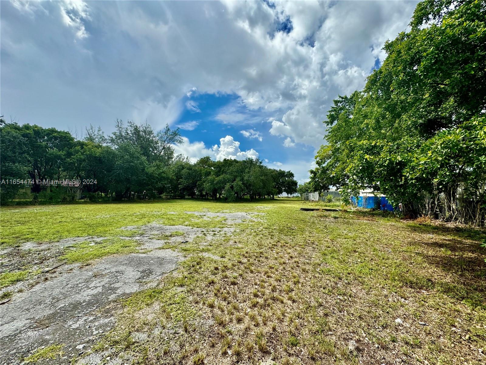 BUNCHE PARK - Land