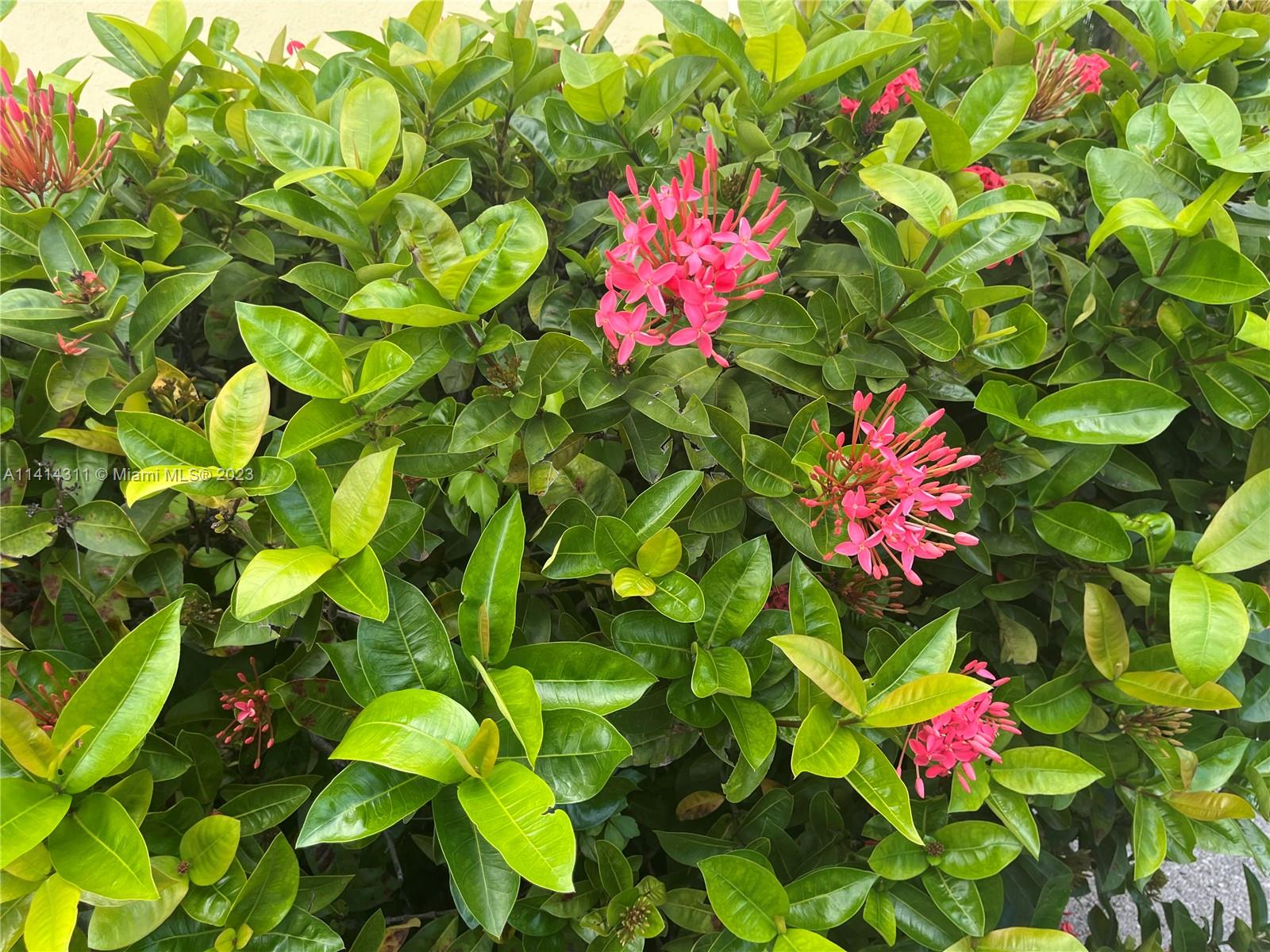 BEACH GARDEN CONDO - Residential Lease
