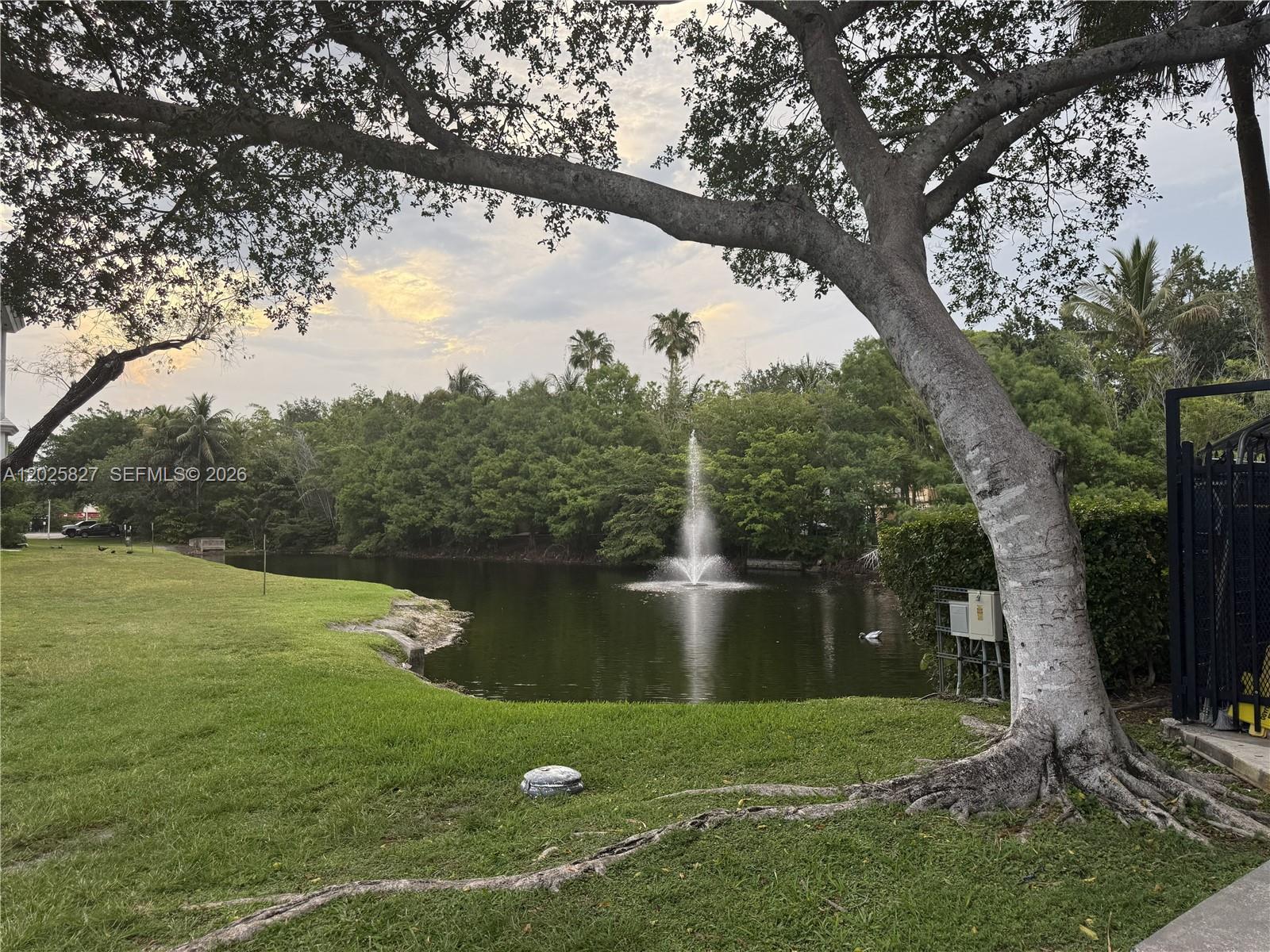 BELASERA AT PINE ISLAND C - Residential Lease