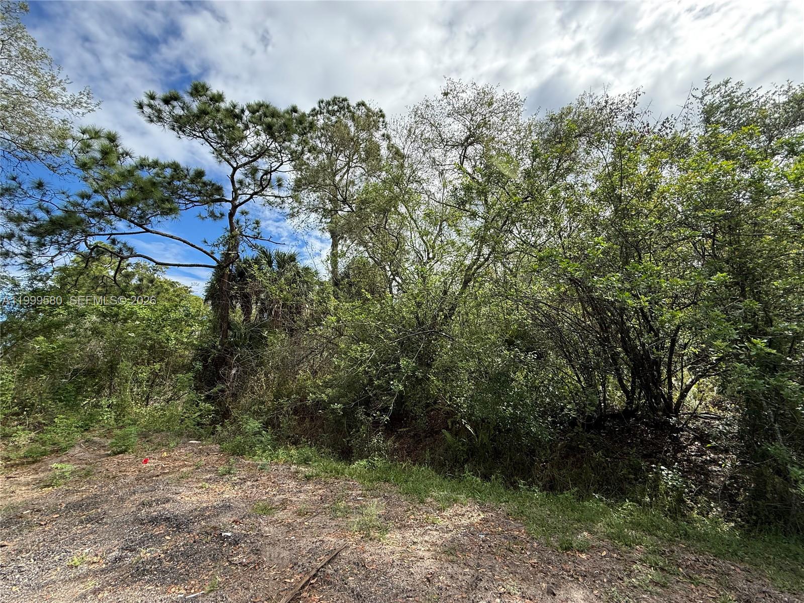 Discover the potential of this 1.25-acre raw lot located in the sought-after North Montura area. This high and dry parcel with no wetlands offers an excellent setting for a future homesite, mobile home, or investment opportunity. With plenty of space for a pool, fruit trees, and farm animals, this property provides the flexibility and rural lifestyle buyers are looking for. Situated in Montura Ranch Estates near Lake Okeechobee in Hendry County, the area is known for its wide-open spaces, privacy, and convenient access to CR 833 and US 27. Next to a Canal