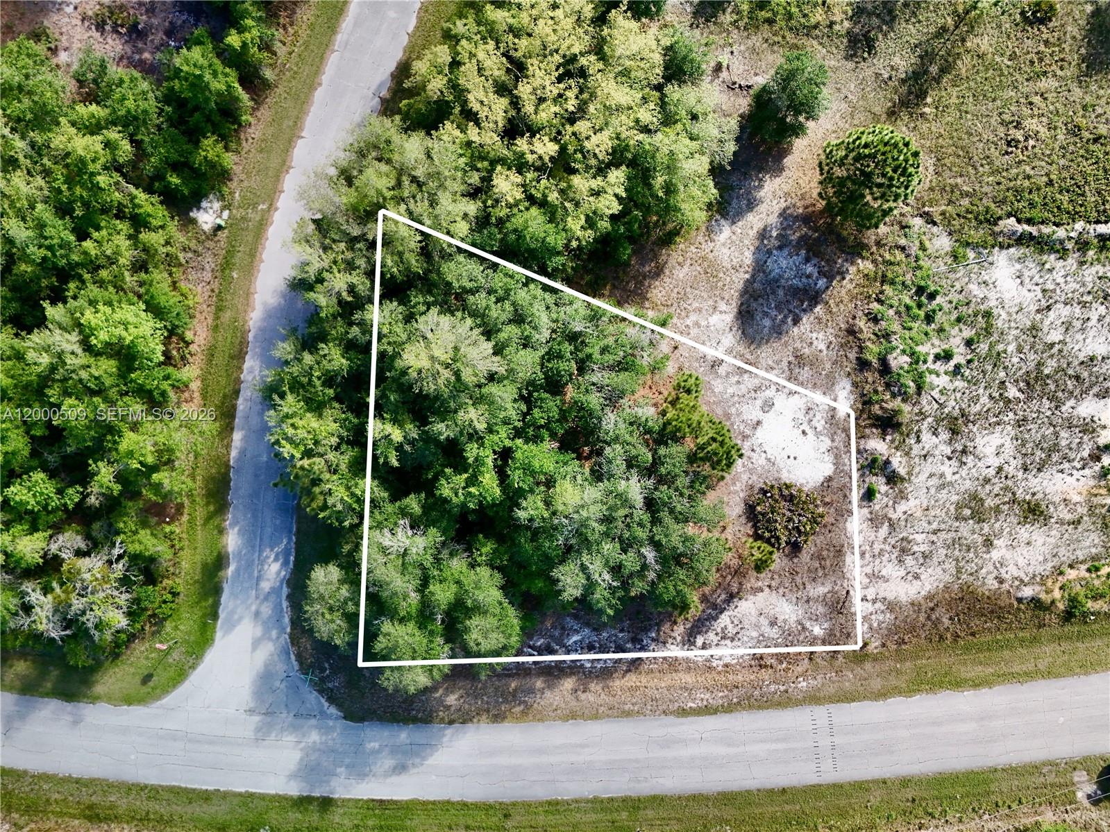POINCIANA - Land