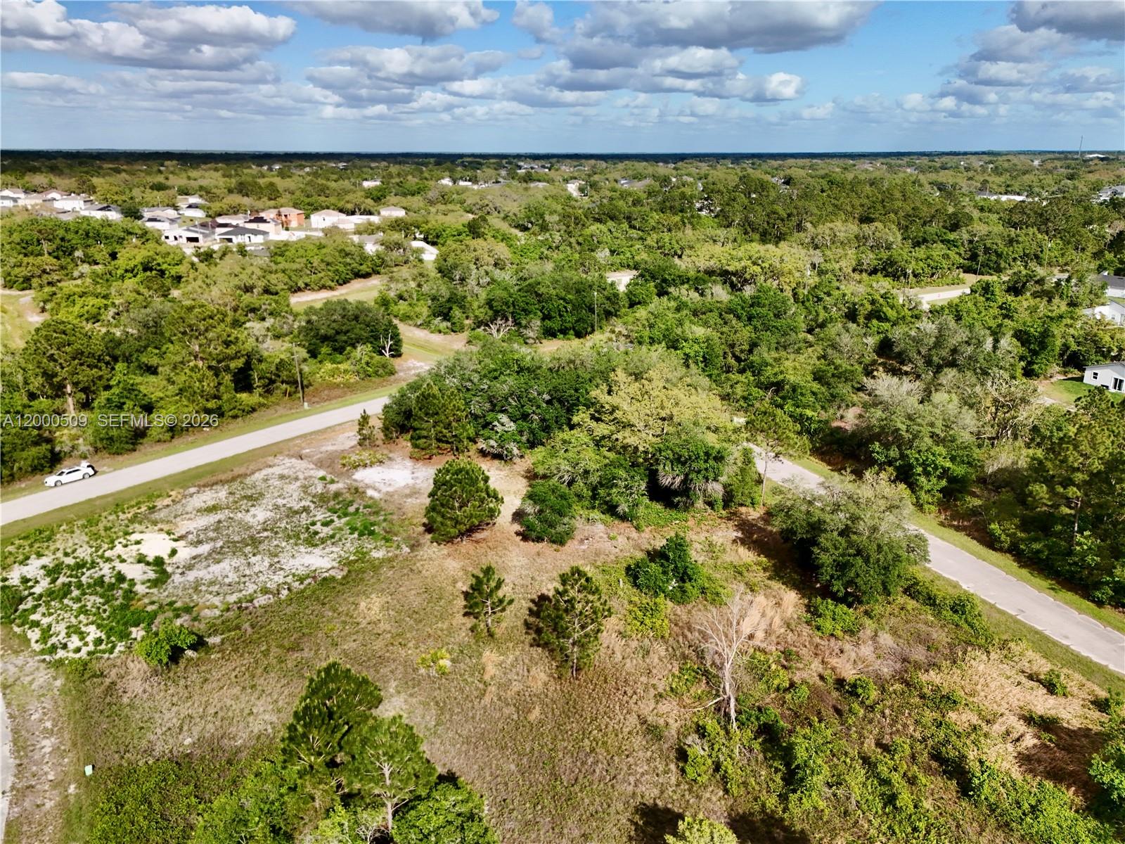 POINCIANA - Land