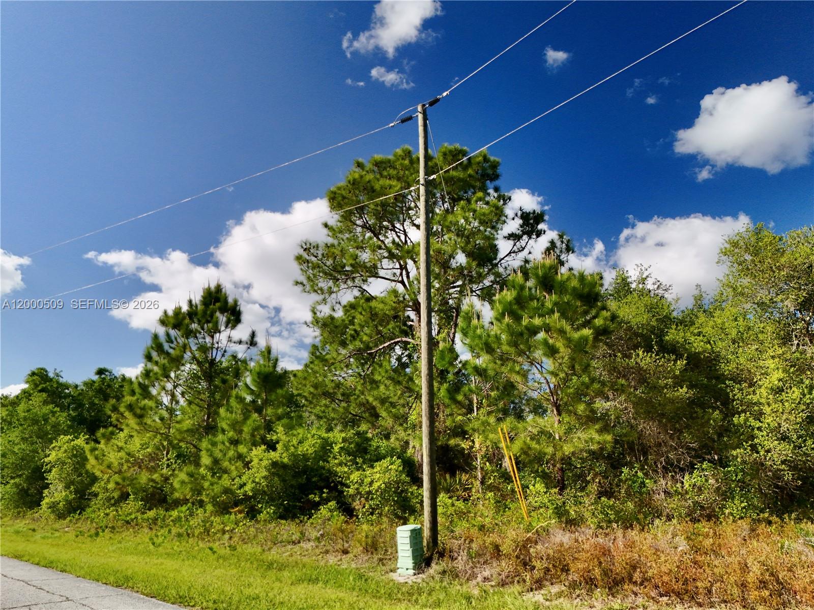 POINCIANA - Land