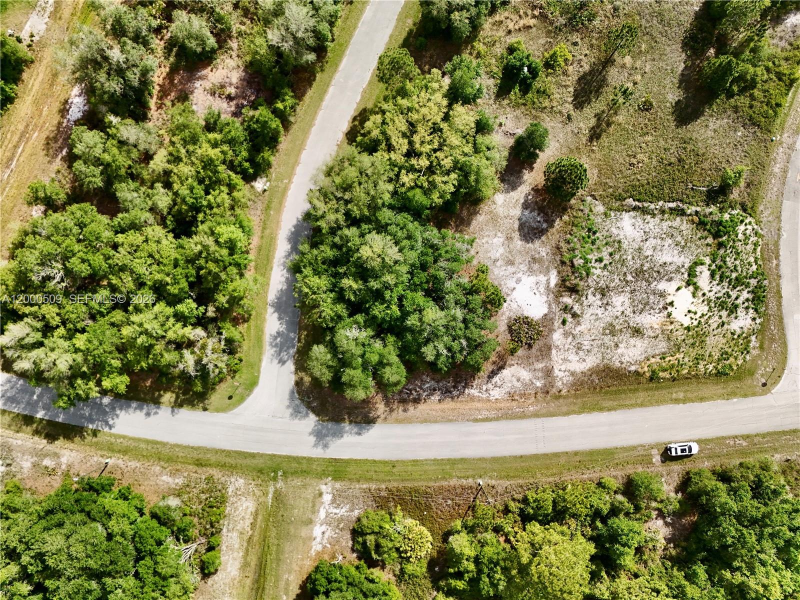 POINCIANA - Land
