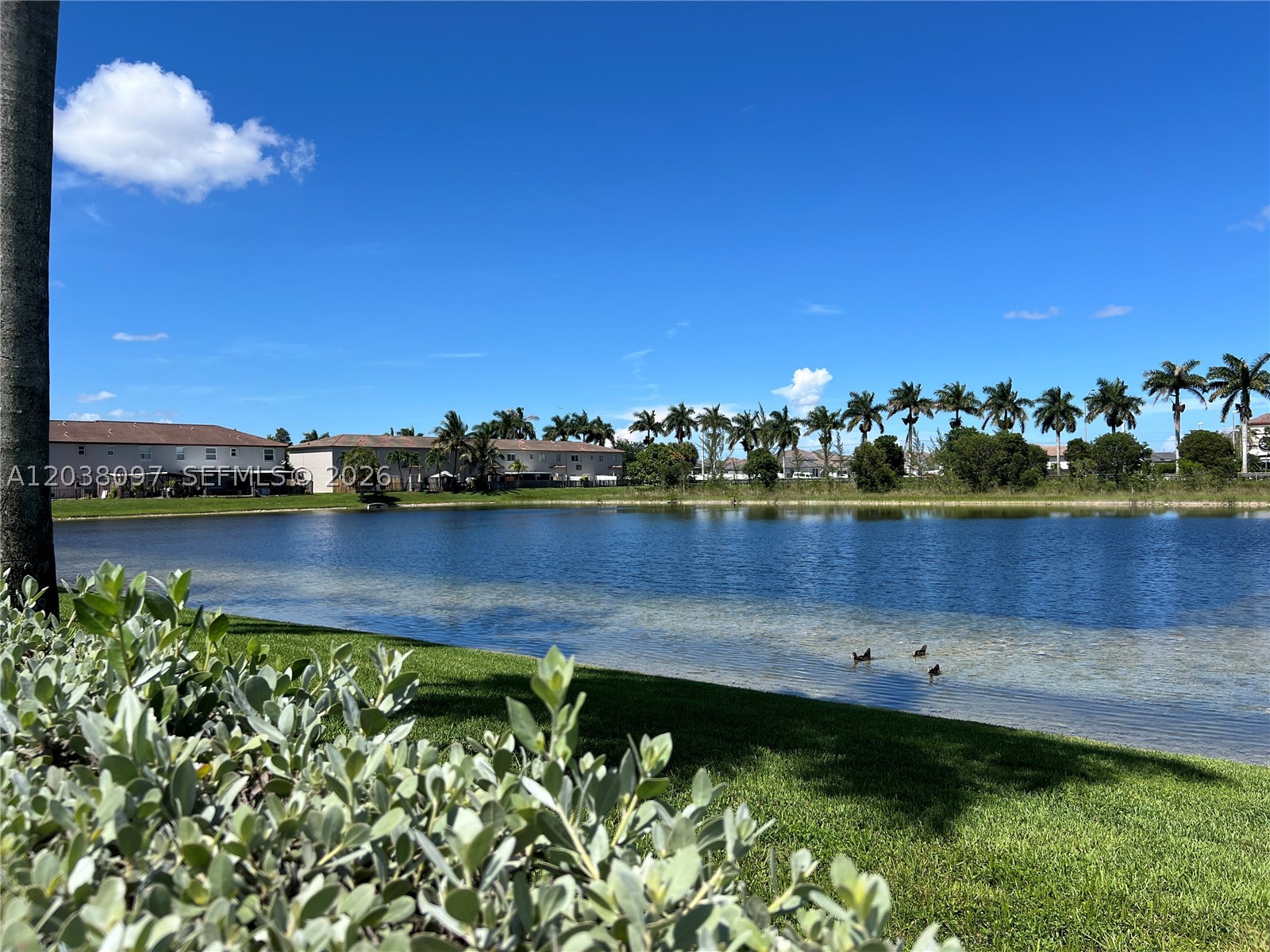 CORAL LAKES KINGDOM - Residential Lease