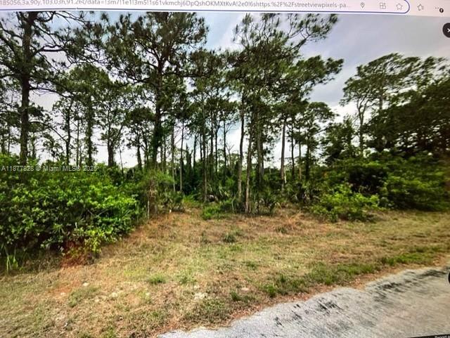 Lehigh Acres - Land