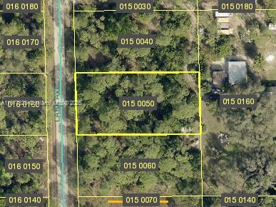 Lehigh Acres - Land