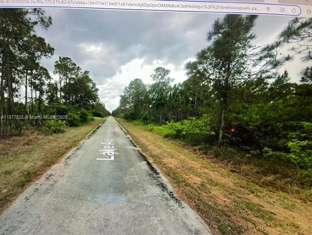 Lehigh Acres - Land