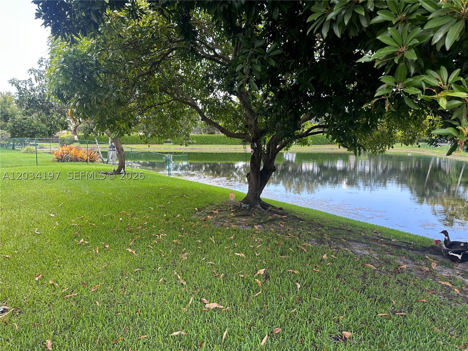 WESTFORK I PLAT - Residential