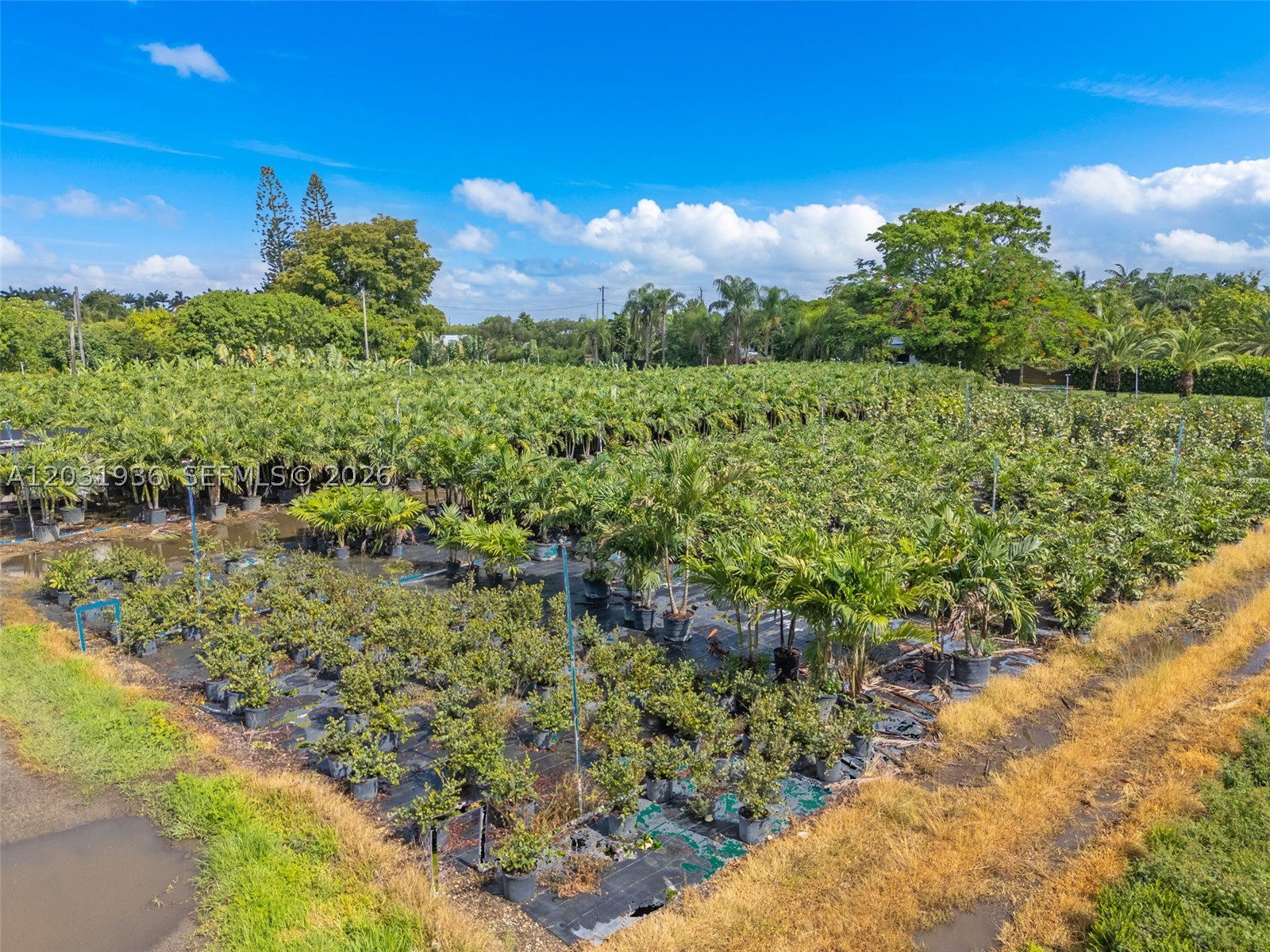 REDLAND - Land