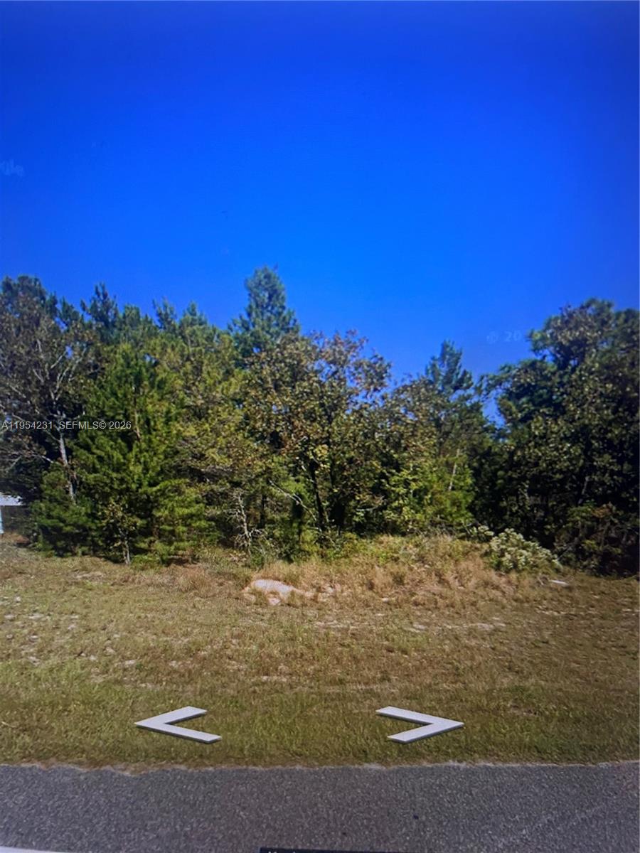 Build your dream home or hold as an investment on this residential lot located in Putnam County Interlachen, FL 32148. Situated in a quiet, established area, this property offers a great opportunity for those looking to build or invest in Florida land. Enjoy the peaceful, rural feel while still being within convenient driving distance to nearby lakes, outdoor recreation, and local amenities.

No HOA and flexible residential zoning provide options for future use. Buyer to verify zoning, building requirements, and utility availability. Don’t miss this opportunity to own affordable land in a growing North Florida community.