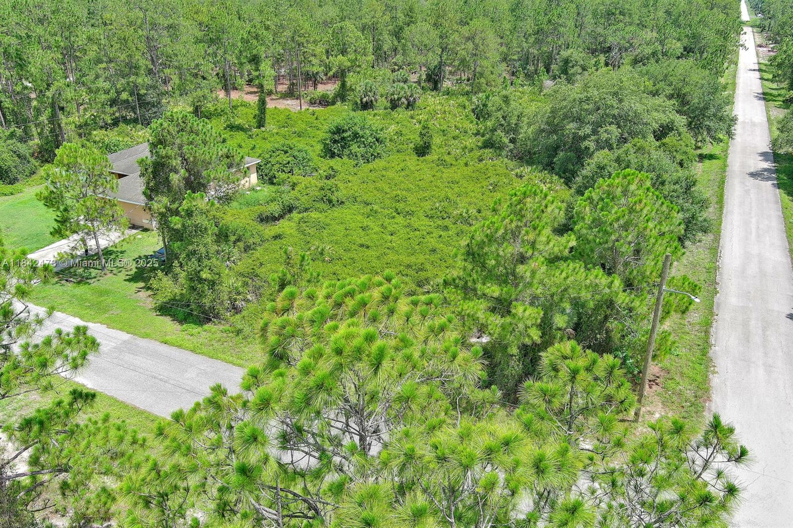 LEHIGH ACRES - Land