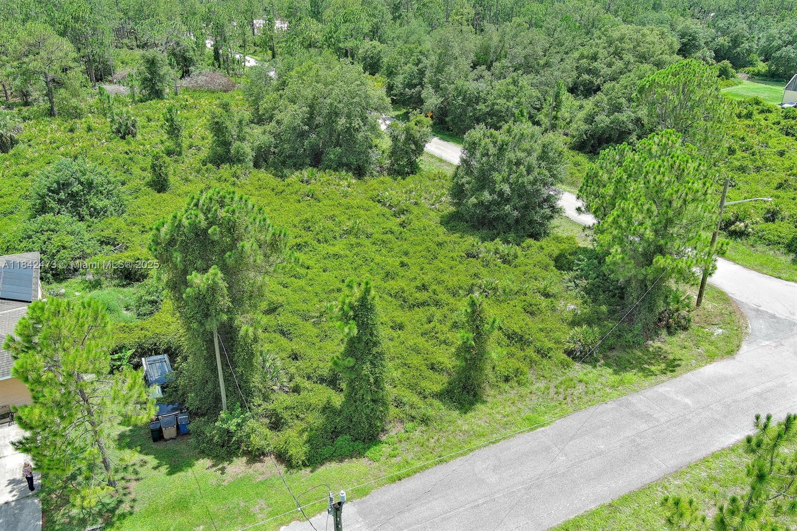 LEHIGH ACRES - Land