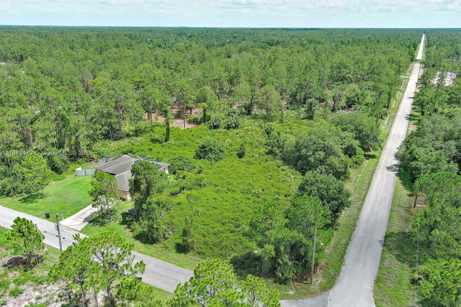 LEHIGH ACRES - Land