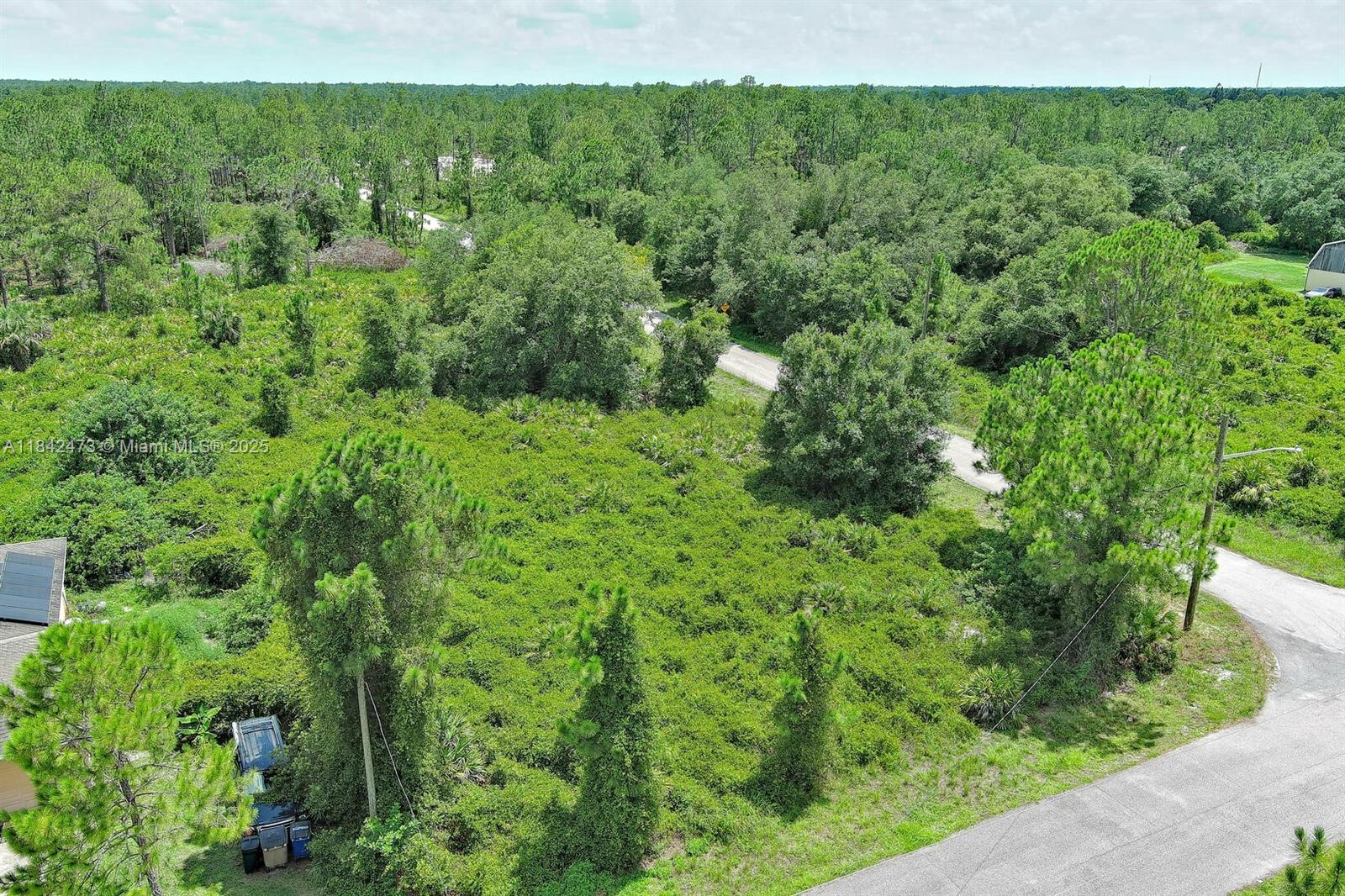 LEHIGH ACRES - Land