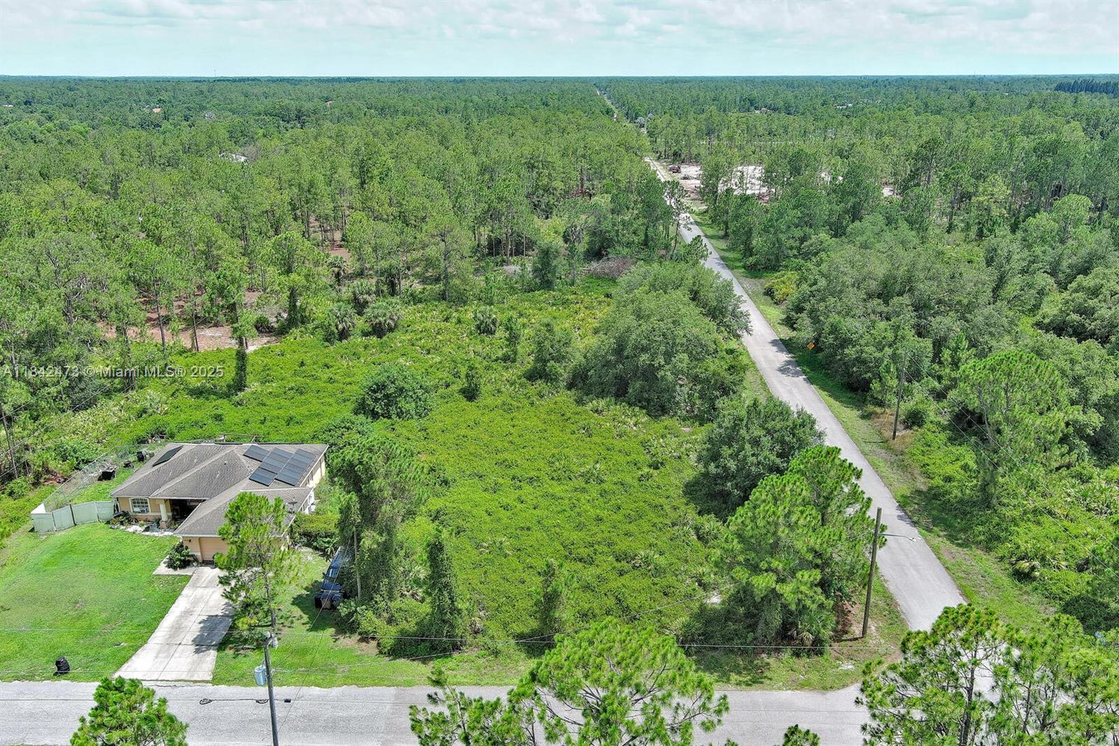 LEHIGH ACRES - Land