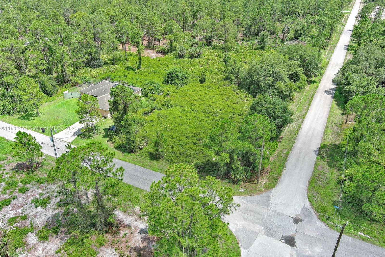 LEHIGH ACRES - Land