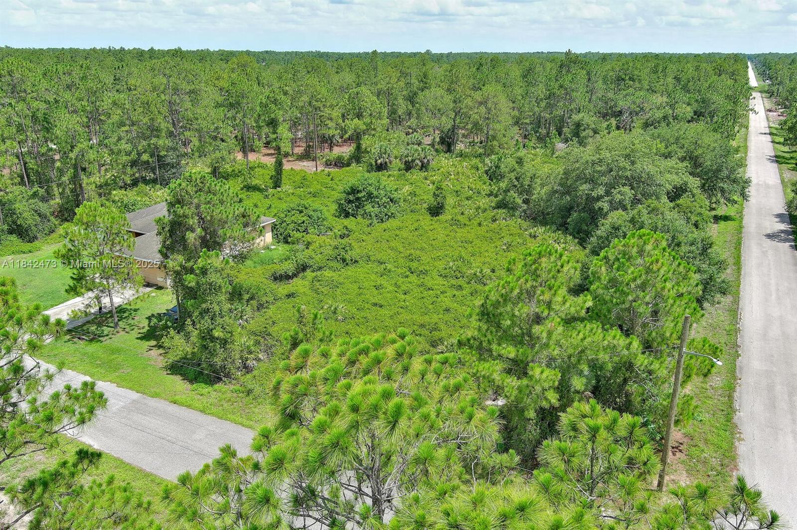 LEHIGH ACRES - Land