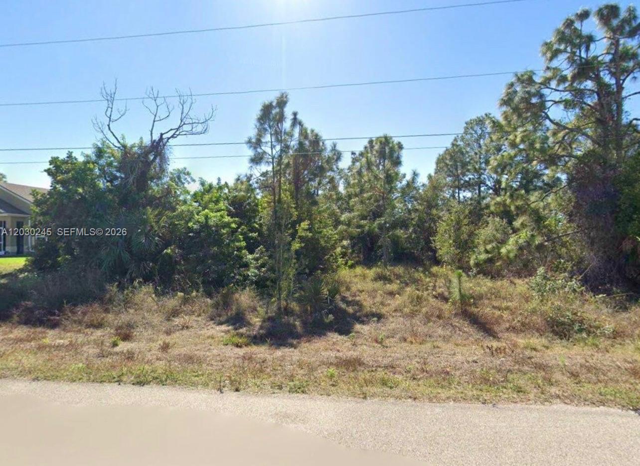 Discover the perfect opportunity with this spacious lot located at 442 Remer St. in the desirable Lehigh Acres neighborhood. This property offers a prime location, surrounded by beautiful homes and convenient access to local amenities, parks, and schools. With ample space for your dream home, this lot is ideal for those seeking a tranquil atmosphere with easy connectivity to major roadways. Don’t miss the chance to invest in this growing community make it yours today!