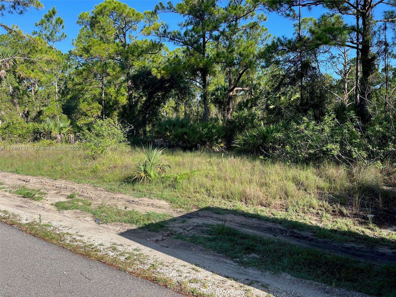 Lehigh Acres - Land