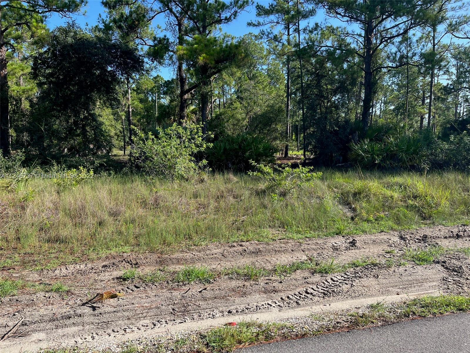 Lehigh Acres - Land