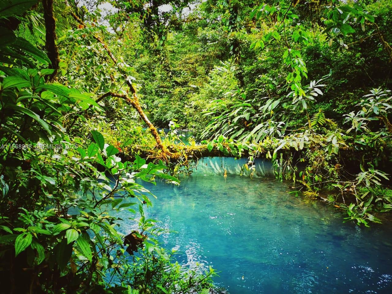 These are 4 plots of land that together total 42 acres. Each one is priced at $2.5 million. They are located in El Castillo, in the district of San Ramón, Alajuela, Costa Rica. The area has its own water source and is bordered by a river on its southern side. The land offers multiple possible uses: it could be developed into a sustainable hotel, a biological research station, an American-style tourist project, or even a thermal spa with hot springs.
The property is suitable and ready for residential construction or any other type of development. It features several viewpoints with 360-degree panoramic views of Volcán Arenal, Lago Arenal, Cerro Chato, the tourist town of La Fortuna, and other volcanoes. Its unparalleled location is surrounded by the Monteverde Nature Reserve, the Alberto Brenes Forest, and the famous Arenal Volcano National Park.