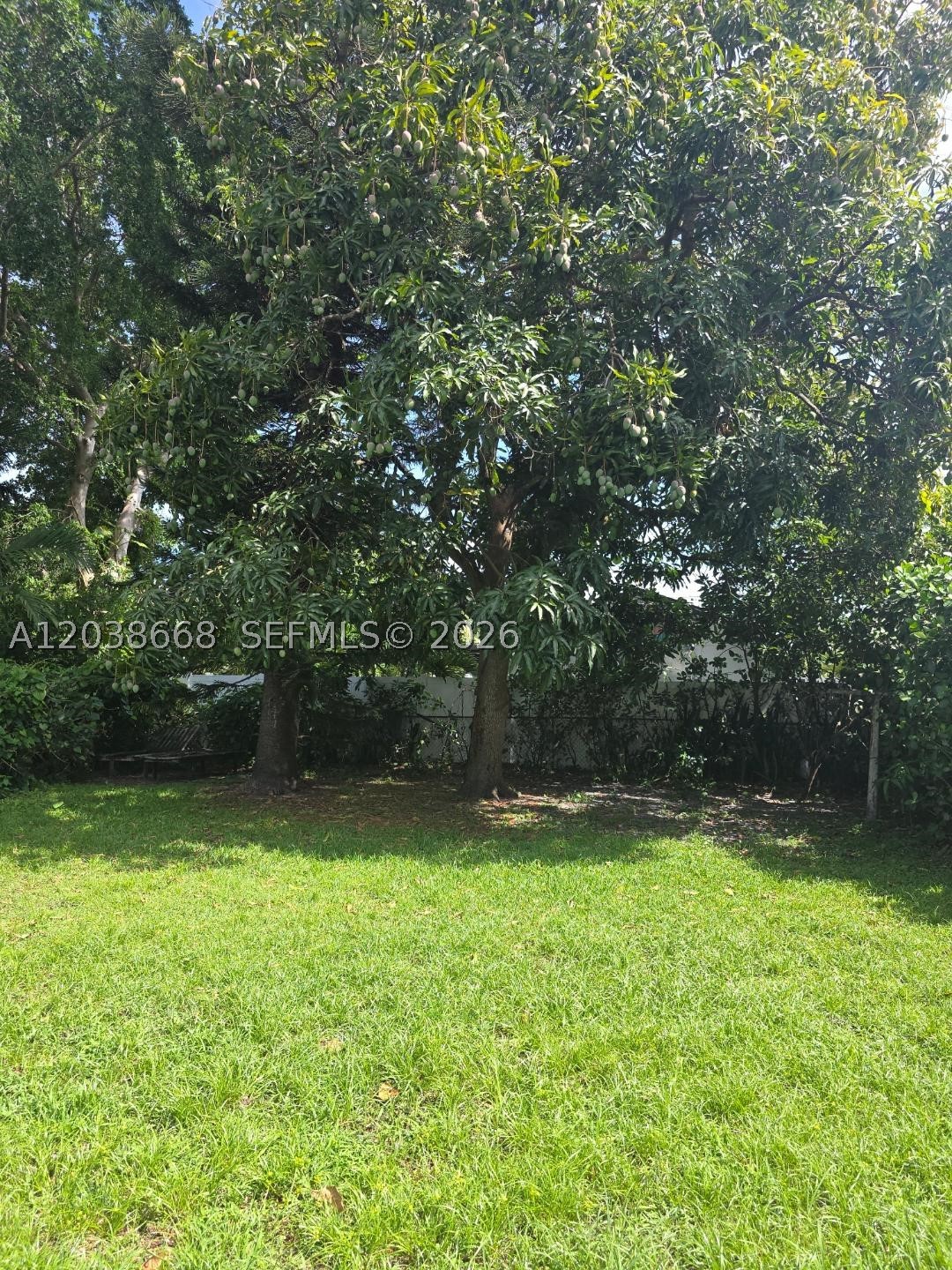 HOLLYWOOD TERRACE - Residential Lease