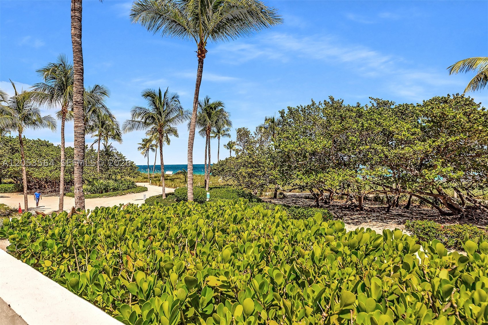 THE PLAZA OF BAL HARBOUR - Residential