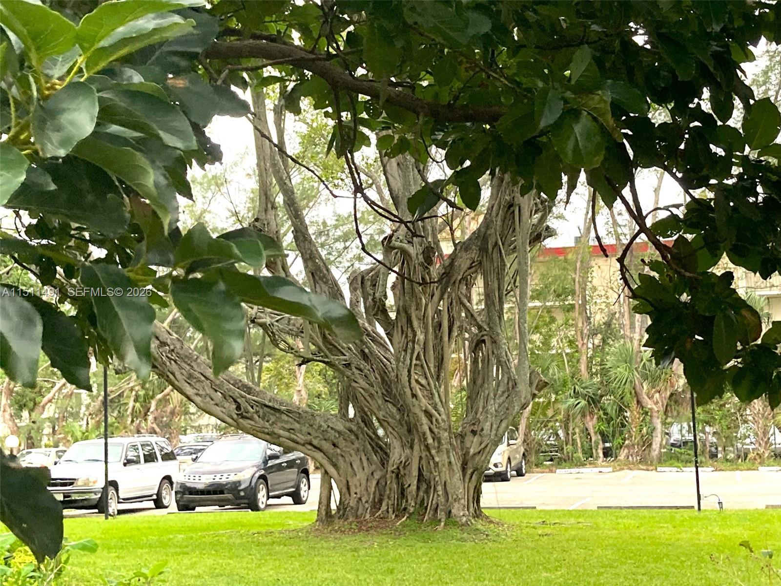 LAUDERDALE OAKS CONDO I - Residential