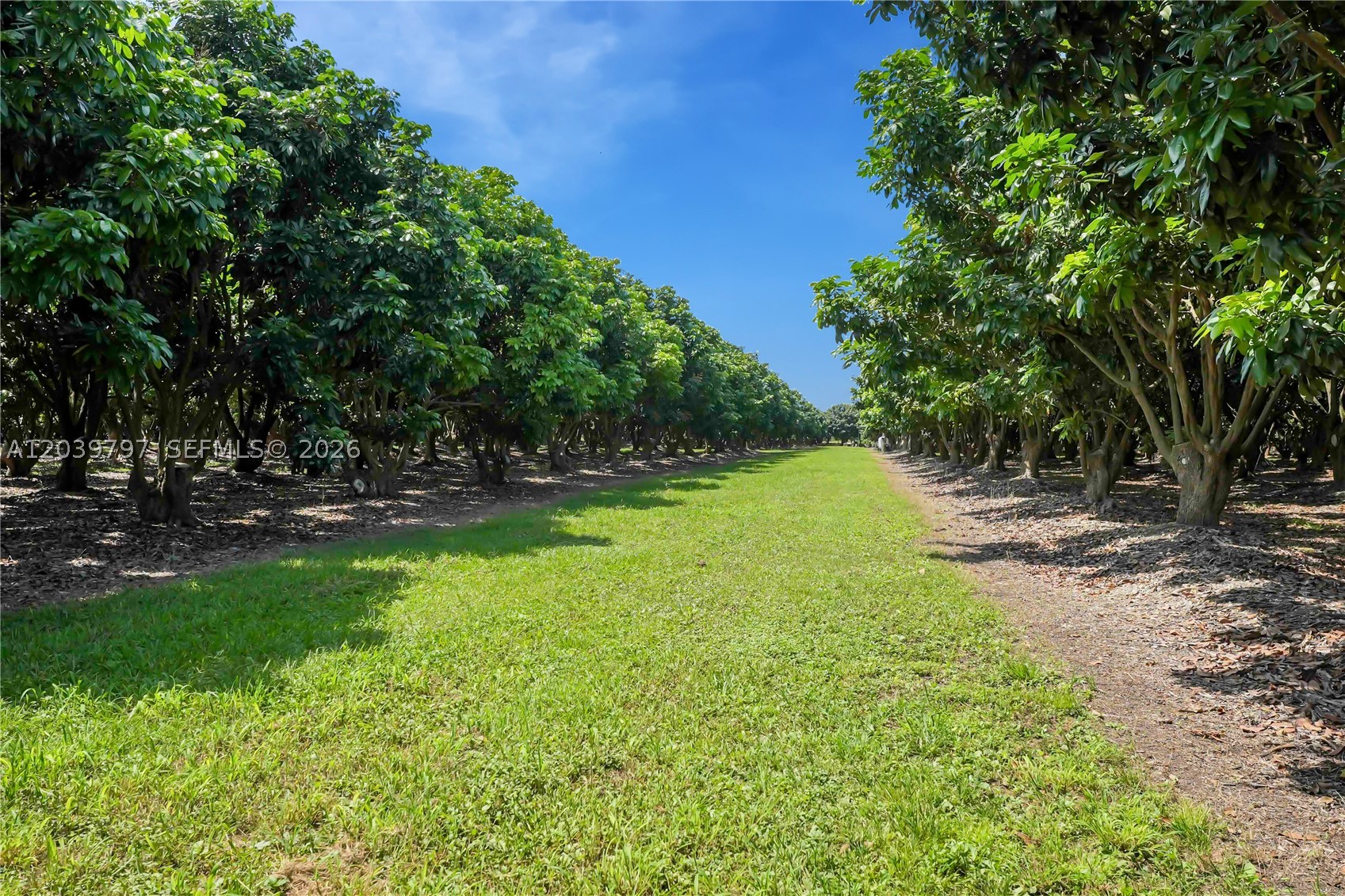 Miami Dade Unincorporated - Residential