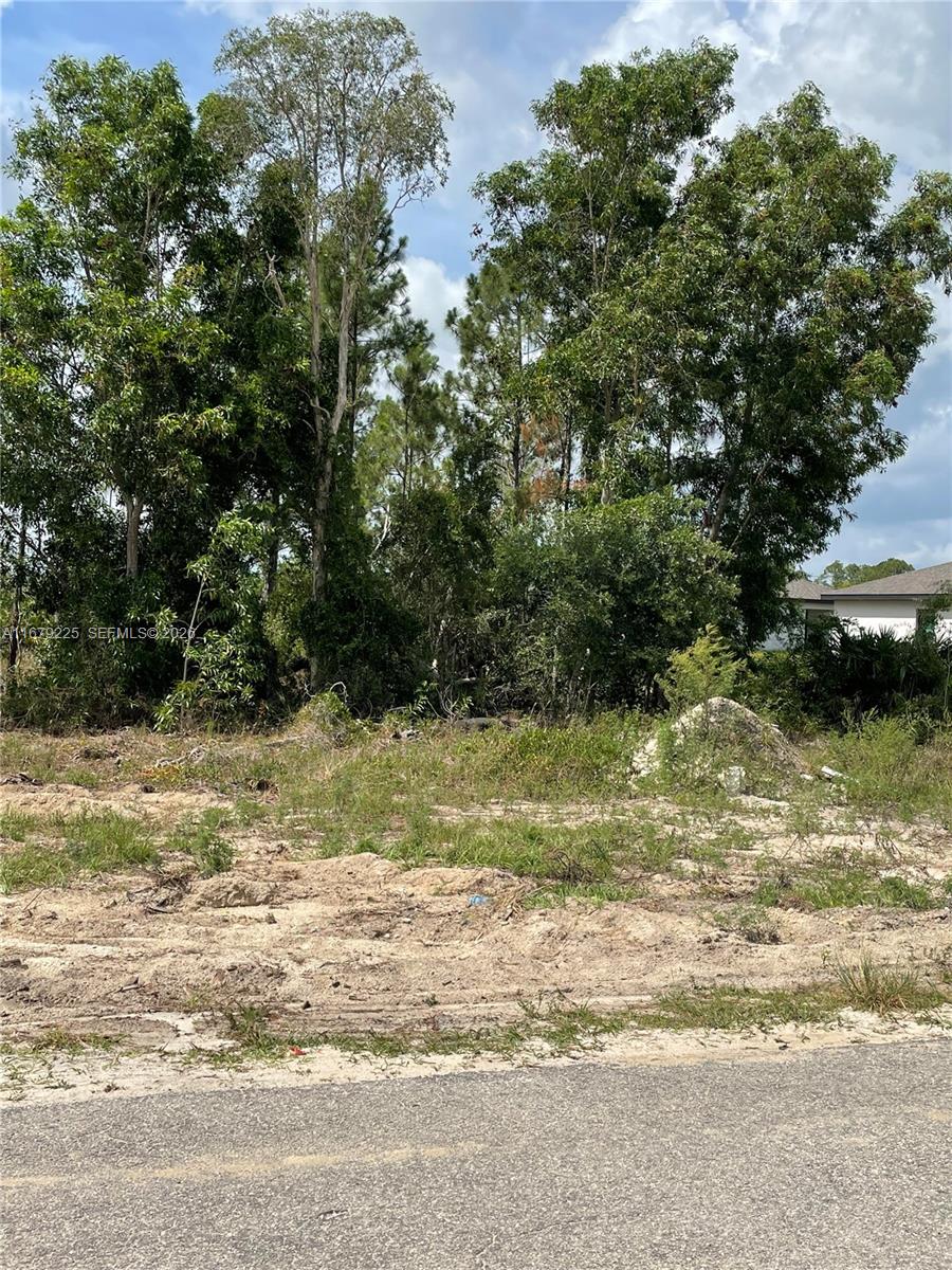 LEHIGH ACRES - Land
