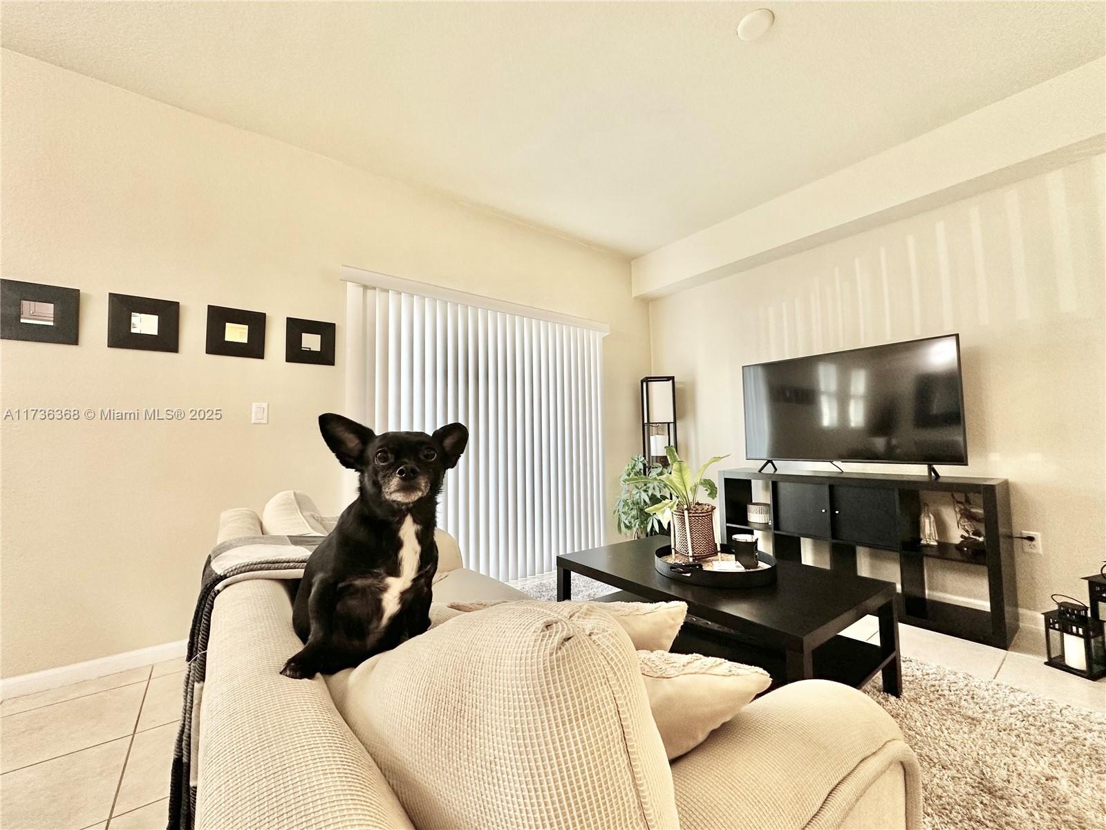 ST MORTIZ AT DORAL CONDO - Residential Lease