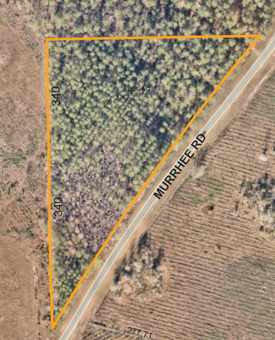 Discover the perfect blend of country tranquility and convenience with this stunning 6.2-acre parcel on Murrhee Road in Hilliard! Located in a peaceful, rural setting in Nassau County, you’ll enjoy ample privacy while still being just a short drive (approx 6 min) from local schools, shopping, and the city center. 
Information deemed reliable but not guaranteed. Buyer to verify all details, including zoning, utilities, and boundaries.
