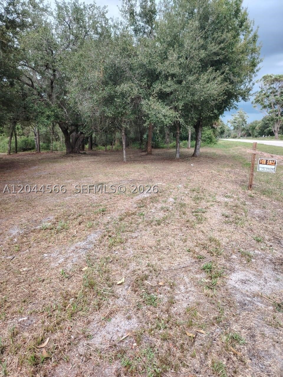 Montura Ranche Estates - Land