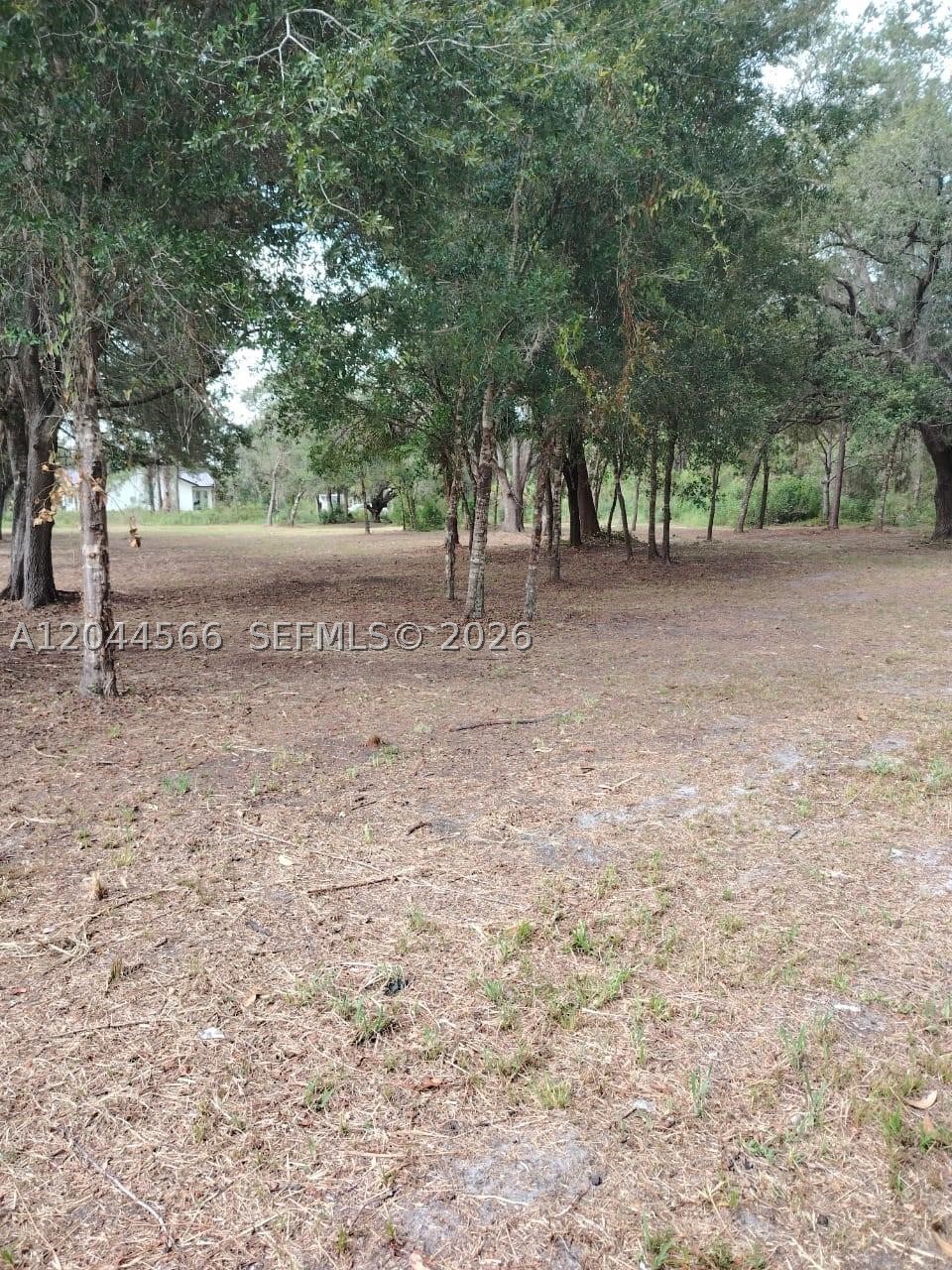 Montura Ranche Estates - Land