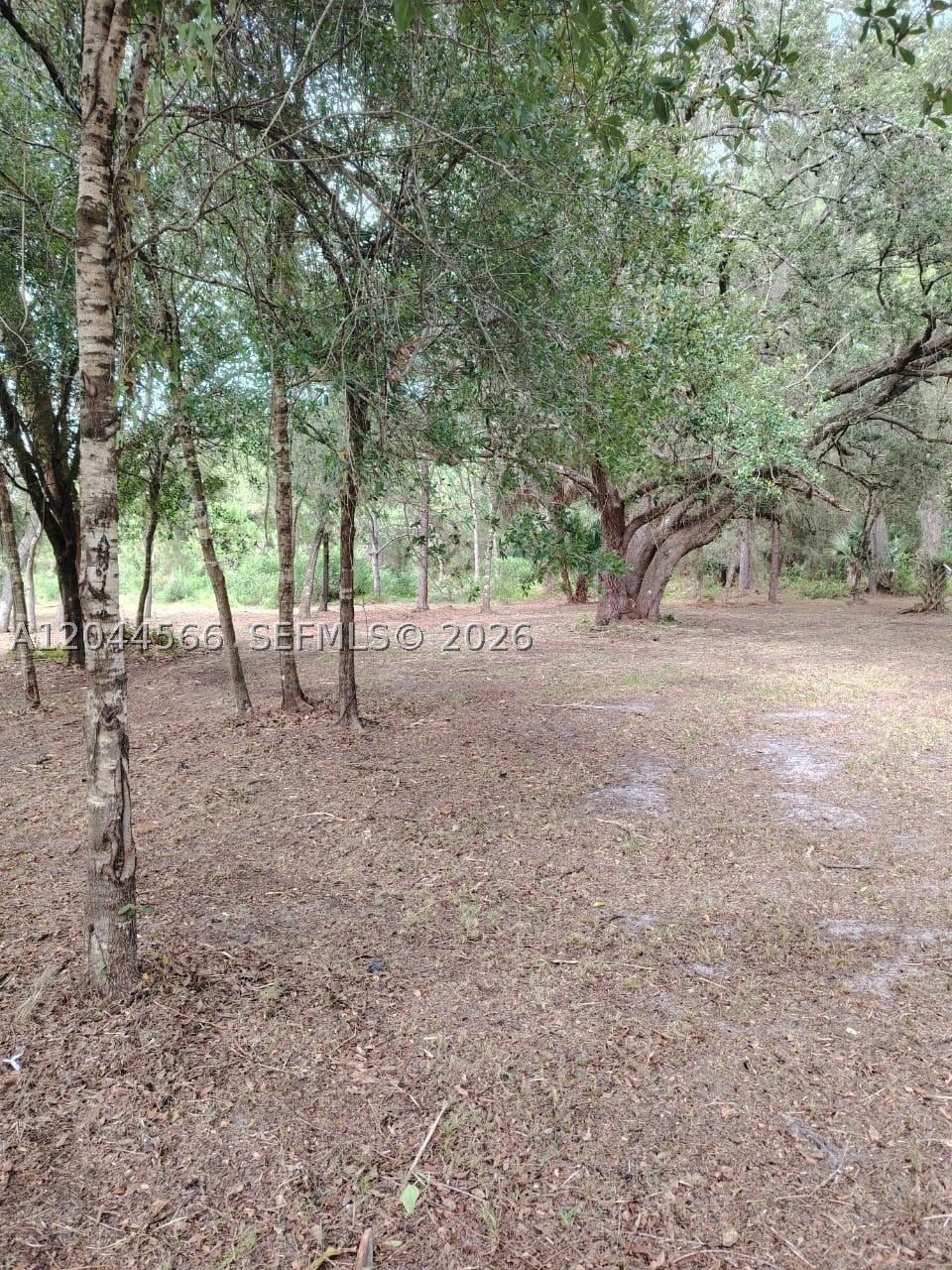 Montura Ranche Estates - Land