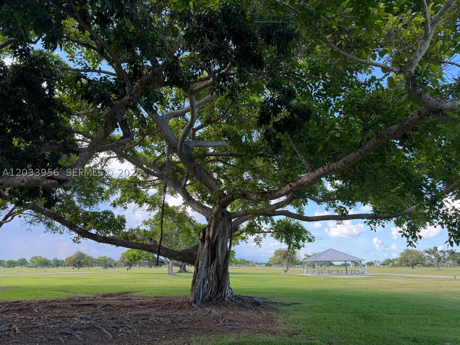 SOUTH POINTE COVE CONDO - Residential