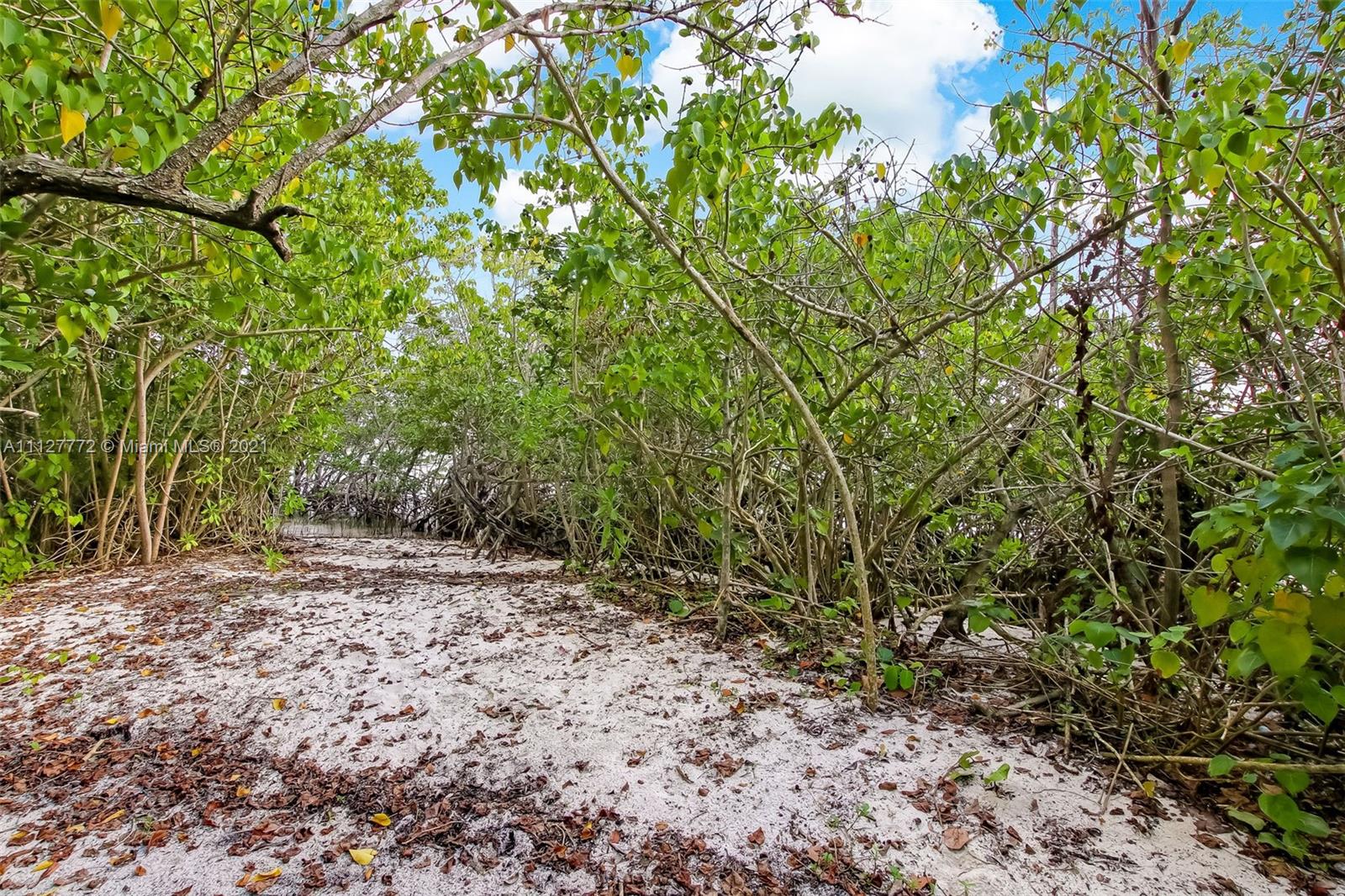 HANSON GRANT LOT 01 (SEWA - Land