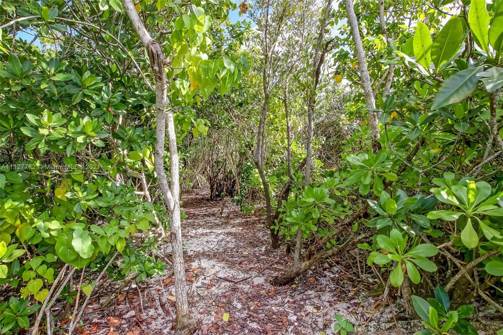 HANSON GRANT LOT 01 (SEWA - Land