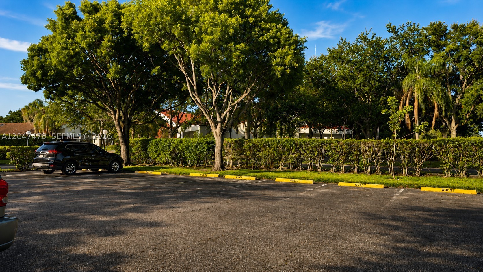 PLANTATION CLUB D CONDO - Residential